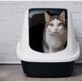 Kapalı Kedi Tuvaleti